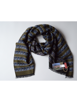 Vizio Италия F 3 шарф коричнево - зеленый фото