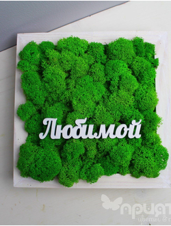 Живая Эко-Картина "Любимой" 1086