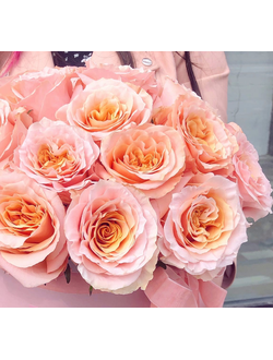 РОЗОВЫЕ РОЗЫ