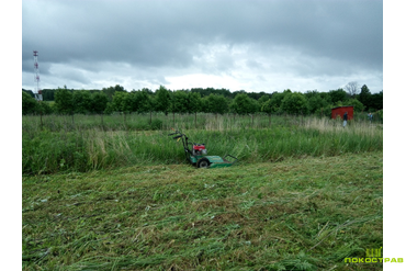 Профессиональная косилка для бурьяна Billi Goat