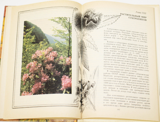Петров В.В. Растительный мир нашей Родины. Книга для учителя. М.: Просвещение. 1991г.