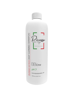 Шампунь подготавливающий Picasso Hi-Tech BB One 1000 мл