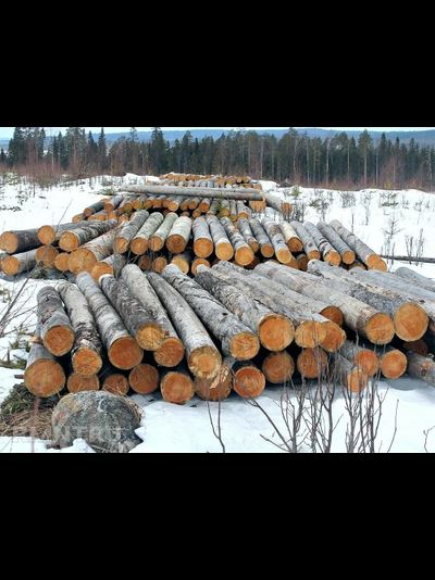 Бревно Кело диаметр 36 см, длина 6 м