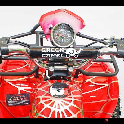 Квадроцикл GreenCamel Гоби K21 (30 Ah 36V 800W R6 Цепь) Армейский желтый