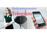 Информирование Telegram ДДТ(один месяц)