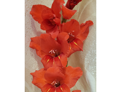 10) Оскар (1раз)