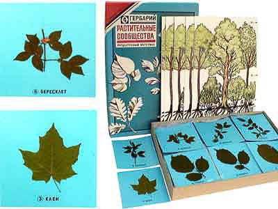 Гербарий &quot;Растительные сообщества&quot;