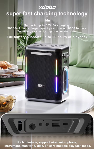 Караоке система с двумя микрофонами Sinoband Party 1981 300W