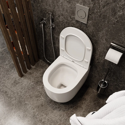 Унитаз подвесной Cerutti SPA OGLIO Aria CT 8909