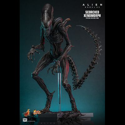ПРЕДЗАКАЗ - Чужой (Ромул) - Коллекционная ФИГУРКА 1/6 Scorched Xenomorph Alien: Romulus (MMS784) - Hot toys ?ЦЕНА: 48600 РУБ.?