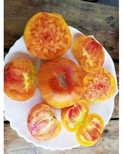 Томат Полосатый Вильямса (Williams Striped)