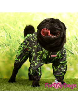 ДОЖДЕВИК ЧЕРНО/ЗЕЛЕНЫЙ НЕОН ДЛЯ МОПСОВ И ФРАНЦУЗОВ