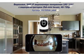 DE-Wfish_mini - панорамная WiFi видеокамера