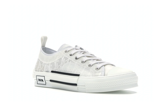 Кеды Converse x Dior B23 белые низкие