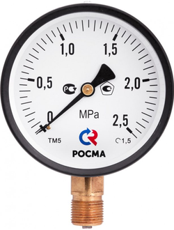 Манометр ТМ-310Р 1,0МПа Класс 2,5 G1/4 Росма