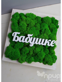 Живая Эко-Картина "Бабушке" 1085