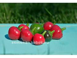 Перец сладкий Sweet Cherry (Свит Черри) , 10 шт