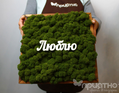 ЖИВАЯ ЭКО-КАРТИНА 1063