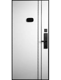 Стальная дверь   Forest (биометрический замок Smart lock R06)