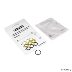 Комплект уплотнений tr (4.100-688.0)