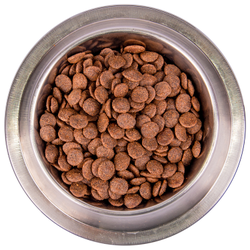 Monge Dog BWild LOW GRAIN (Монж) низкозерновой корм для взрослых собак, из мяса гуся 2,5 кг