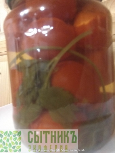 Помидоры маринованые домашние 0,5л