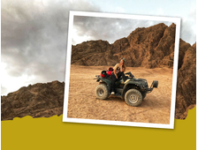 QUAD-SAFARI AM NACHMITTAG (3-STÜNDIGES PROGRAMM)