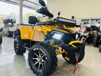 MOTOLAND WILD TRACK 200 WINCH