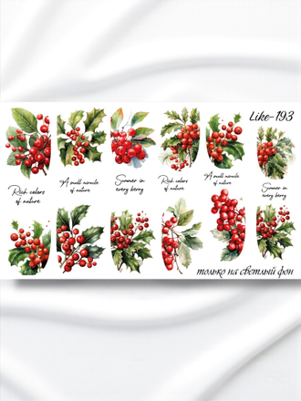 Слайдер-дизайн для ногтей LIKE-193