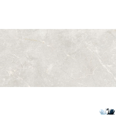 Керамогранит Ocean Ceramic Rocky Bianco PRO светло-серый 60 x 120 см матовый