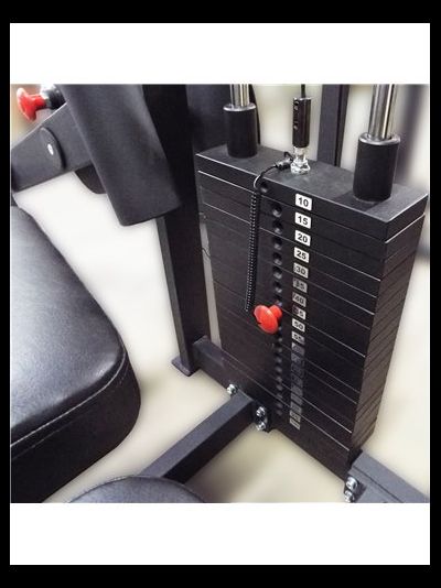 Сгибание ног лежа 100 кг AV214/80