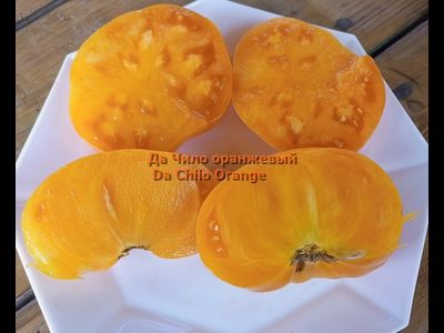 Томат Да Чило оранжевый (Da Chilo, США)