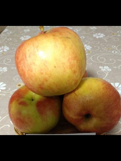 Первоуральское (яблоня)