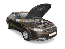 Амортизаторы капота, 1 шт. Автоупор для Ravon Gentra 2015-2018