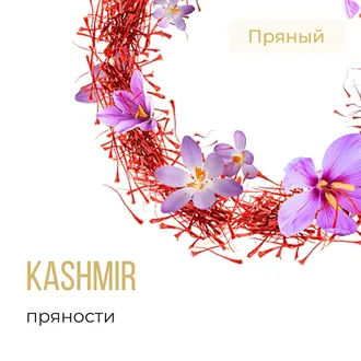 ELEMENT (ЗЕМЛЯ) 40 г. - KASHMIR (ПРЯНОСТИ)