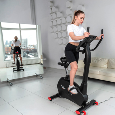 Велотренажер DFC Cardio B255P