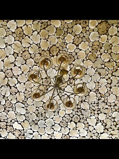 можжевельник южный, крупный