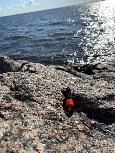 Духи АККОРД: ТЁМНОЕ ПРОШЛОЕ 2,5 мл