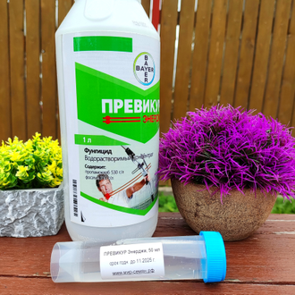 Превикур Энерджи