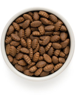 Grandorf (Грандорф): сухой корм для собак крупных пород Ягненок с индейкой, 10 кг