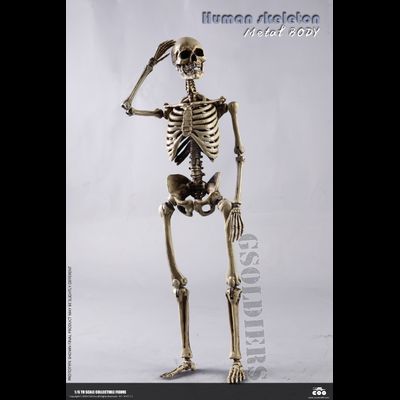 Человеческий скелет (из металла) - Коллекционная ФИГУРКА 1/6 scale THE HUMAN SKELETON (DIECAST ALLOY) (BS011) - COOMODEL