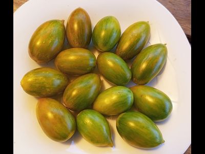 Томат Хаки полосатый