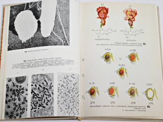 Лобашев М.Е. и др. Генетика с основами селекции. Учебник для пед. ин-тов. М.: Просвещение. 1970г.
