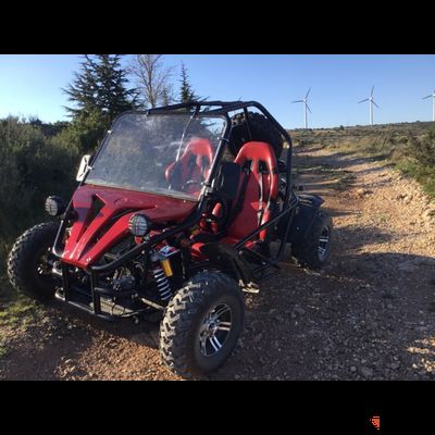 Багги GreenCamel Намиб A5000 (60V 3999W 84Ah R10 Дифференциал)