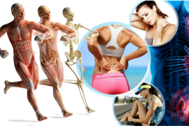 Мышцы, кости и суставы