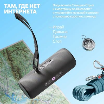 Яндекс Станция Стрит (Черная)