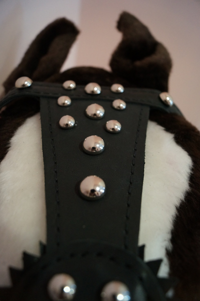 Узда выездная(черная)