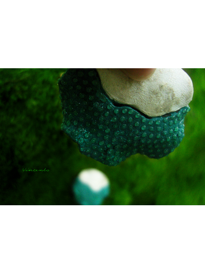 Сказки братьев Гримм. Круглые серьги в стиле фэнтези из коллекции волшебных украшений Винсенто