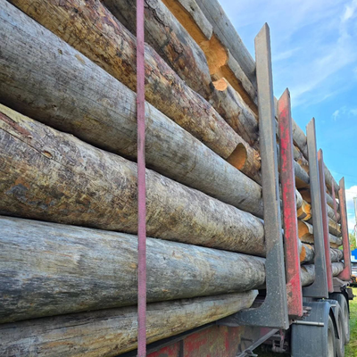 Бревно Кело диаметр 44 см, длина 6 м