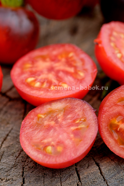 Томат Гондвана Тени, 10 шт